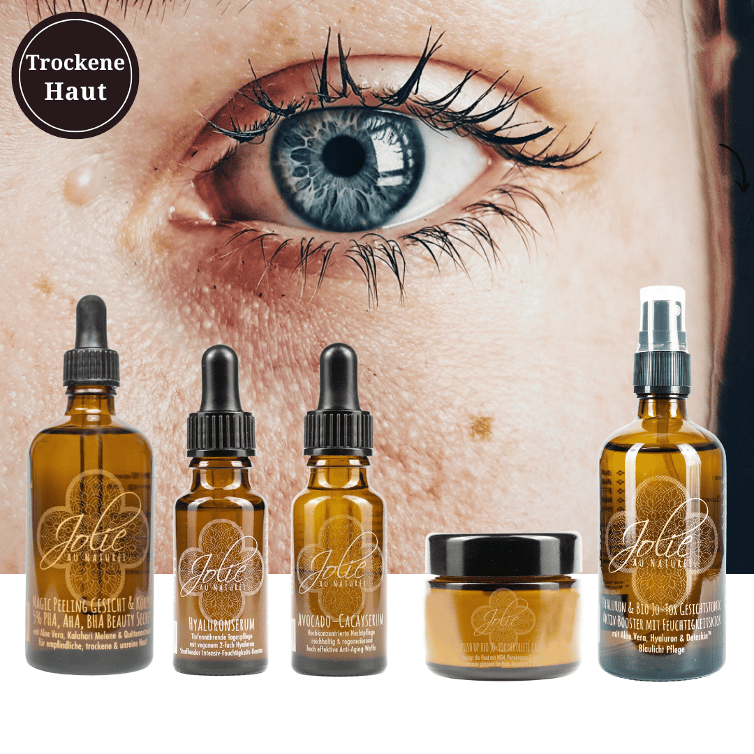 Hyaluron Trockene Haut Routine SET