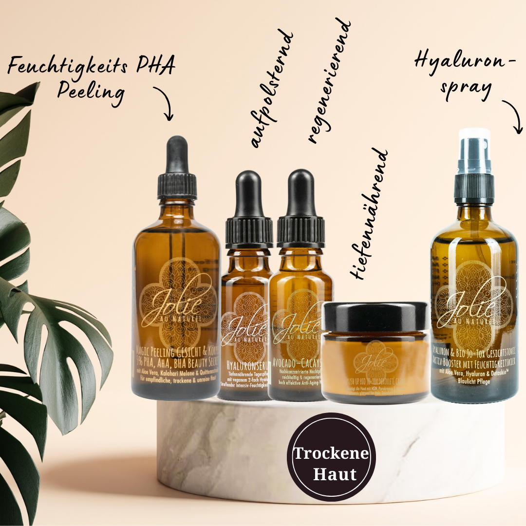 Hyaluron Trockene Haut Routine SET