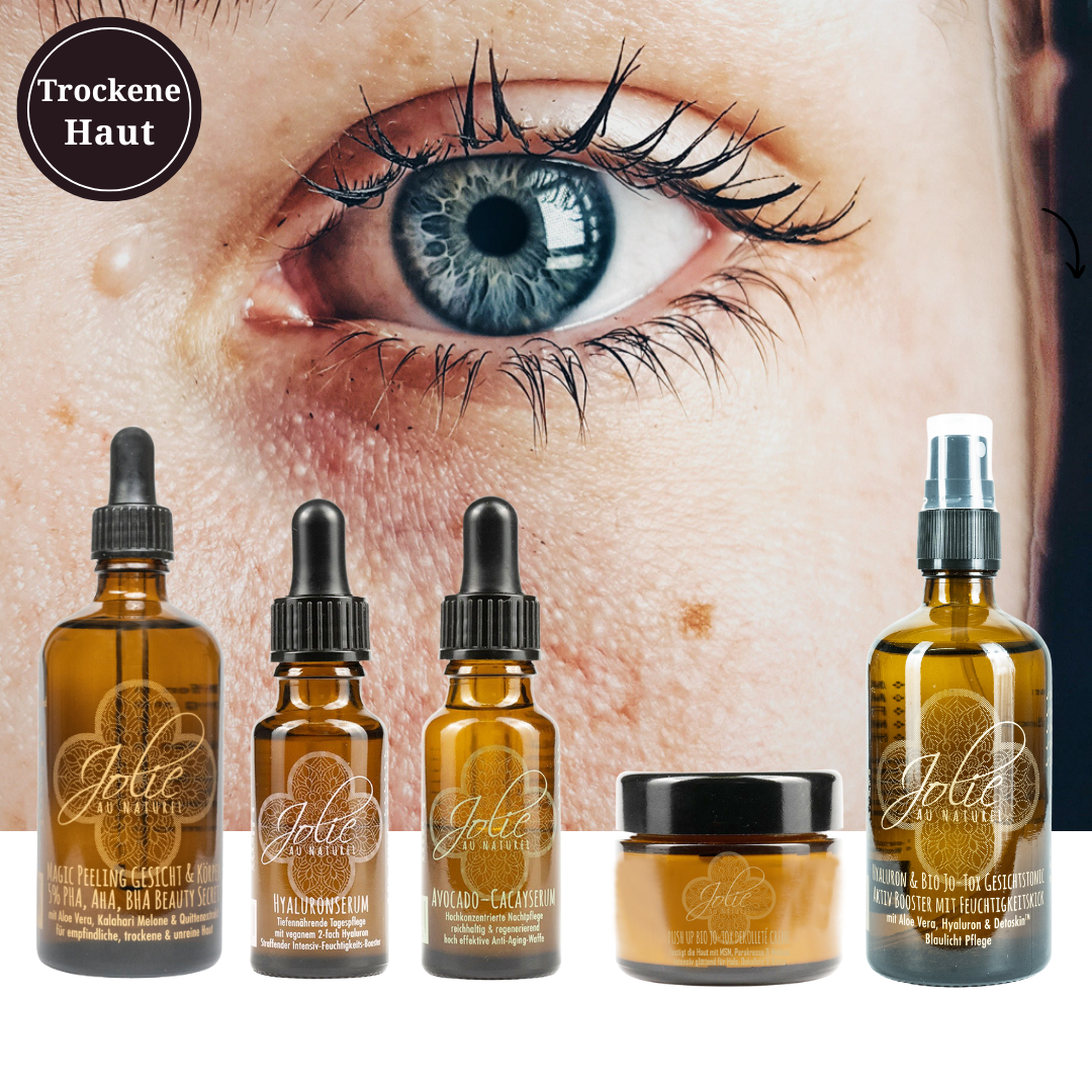 Hyaluron Trockene Haut Routine SET