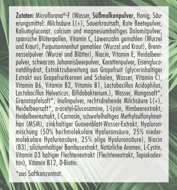 Hyaluron Drink I 3-fach Hyaluron Komplex I schmeckt fruchtig nach Granatapfel, Mango & Zitrone I Anti-Aging Boost für Haut, Haare & Nägel