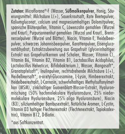 Hyaluron Drink I 3-fach Hyaluron Komplex I schmeckt fruchtig nach Granatapfel, Mango & Zitrone I Anti-Aging Boost für Haut, Haare & Nägel