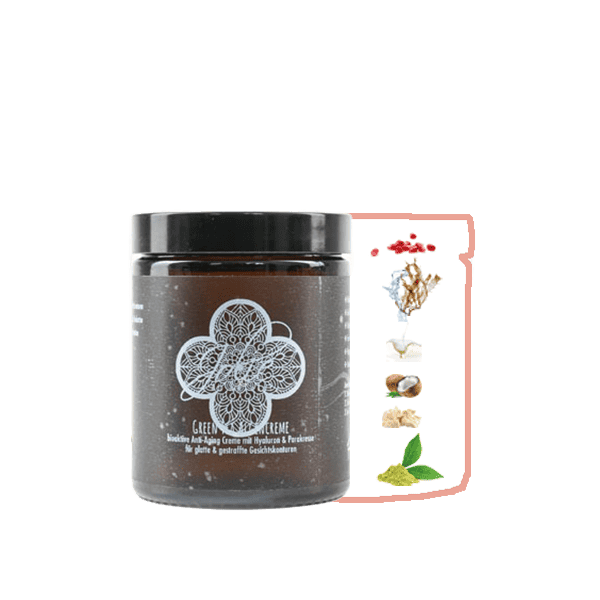 Hyaluron Anti Aging Creme I Algen Creme I Green tea I Gesichtskonturen I Parakresse 180g